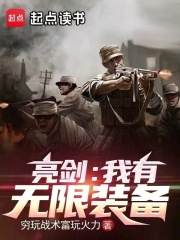 亮剑我有无限装备免费阅读