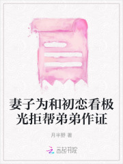 妻子为和初恋看极光拒帮弟弟作证