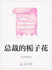 总裁的挚爱宠妻全文免费阅读最新