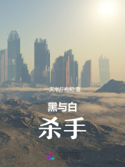 黑与白:杀手