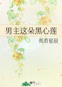 男主这朵黑心莲女尊