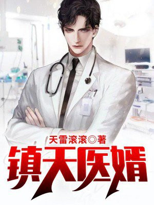 镇天医婿