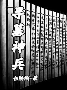 寻墓者小说
