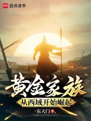 黄金家族,从西域开始崛起在线阅读