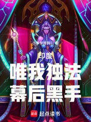 唯我独法 幕后黑手流小说