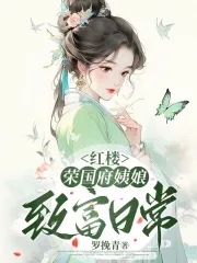 红楼:荣国府姨娘致富日常作者:罗挽青