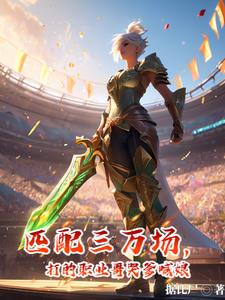 匹配三万场,打的职业哥哭爹喊娘小说