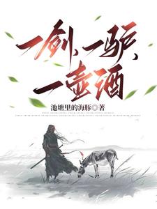 一剑,一驴,一壶酒百度百科