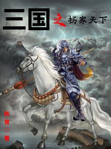 三国之杨家四世三公的小说