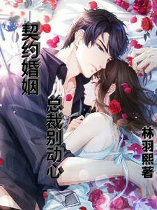 契约婚姻:总裁别惹我 小说