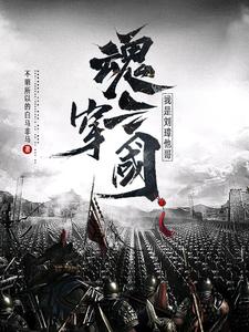 魂穿三国争霸收美小说