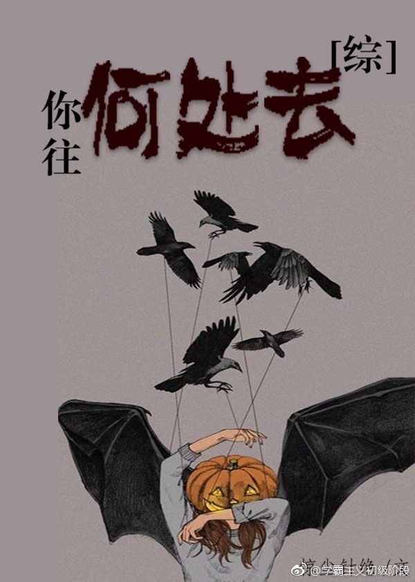 [综]你往何处去