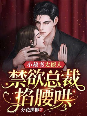 禁欲总裁求抱抱小说