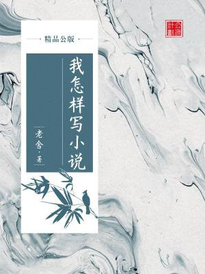 我怎样写小说(精品公版)