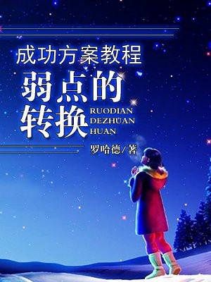 大智慧成功方案教程--弱点的转换