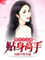 绝美女总裁的贴身高手免费下载
