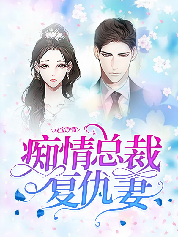 双宝小说