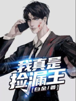 我真是捡漏王 小说白金