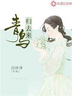 青鸟归去来