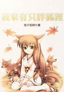 《我家有个狐狸精》
