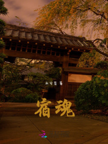 宿魂之伞图片