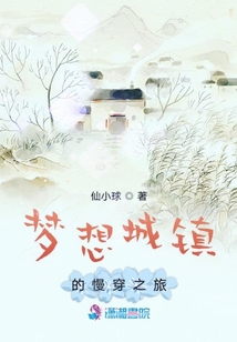 梦想城镇的慢穿之旅免费阅读