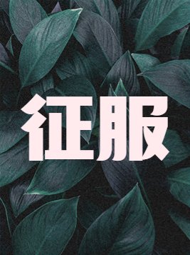 征服电影在线观看完整版高清免费