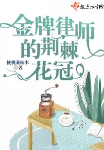 金牌律师结局视频