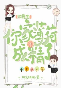 薄先生沈繁星最新章节