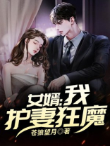 女婿:我,护妻狂魔