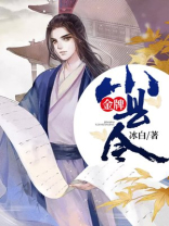 金牌小县令 小说