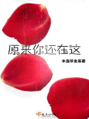 原来你还在这里大结局