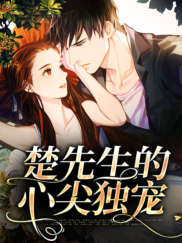 季先生的心尖宠