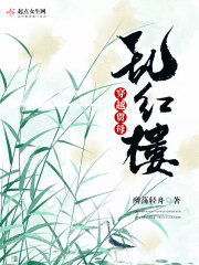 穿越红楼之贾母苏红手