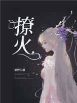 撩火小说全文免费阅读