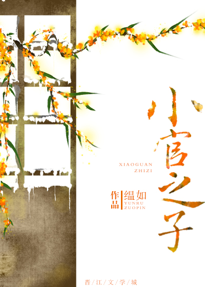 小官之子无防盗