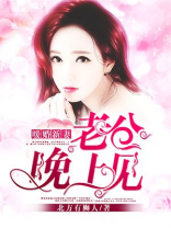 暖婚新妻,老公晚上见