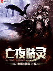 夜精灵之挽歌