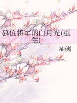 篡位将军的白月光txt
