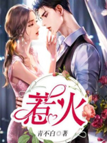 惹火的小舅妈小说全文阅读免费下载
