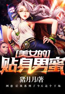 小说《贴身男秘》