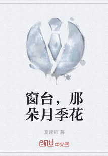 窗台，那朵月季花