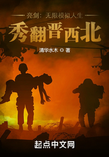 亮剑无限模拟人生秀翻晋西北
