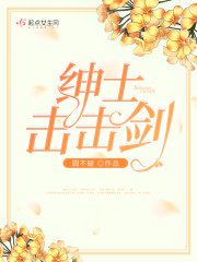 绅士击击剑小说