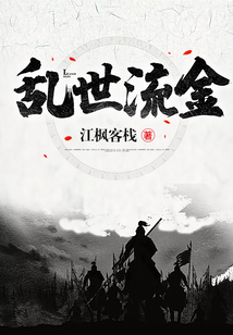 乱世流景小说