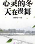心灵的舞蹈作者是谁