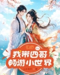 带着四爷一起快穿林夏
