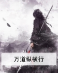 万相纵横的下一句
