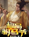 极品驸马爷短剧免费播放