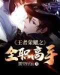 王者荣耀全职高手电视剧